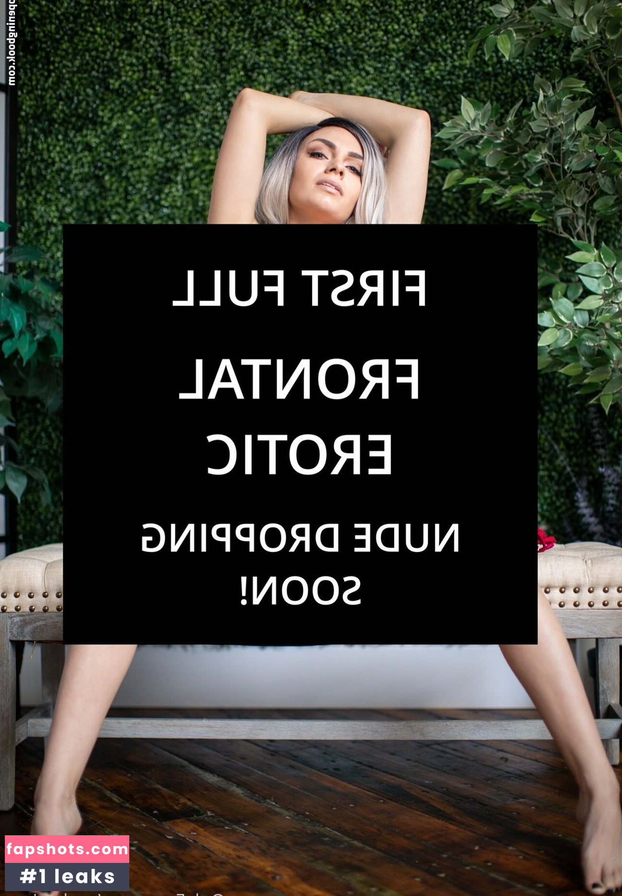 pashavixen gallery photo #9