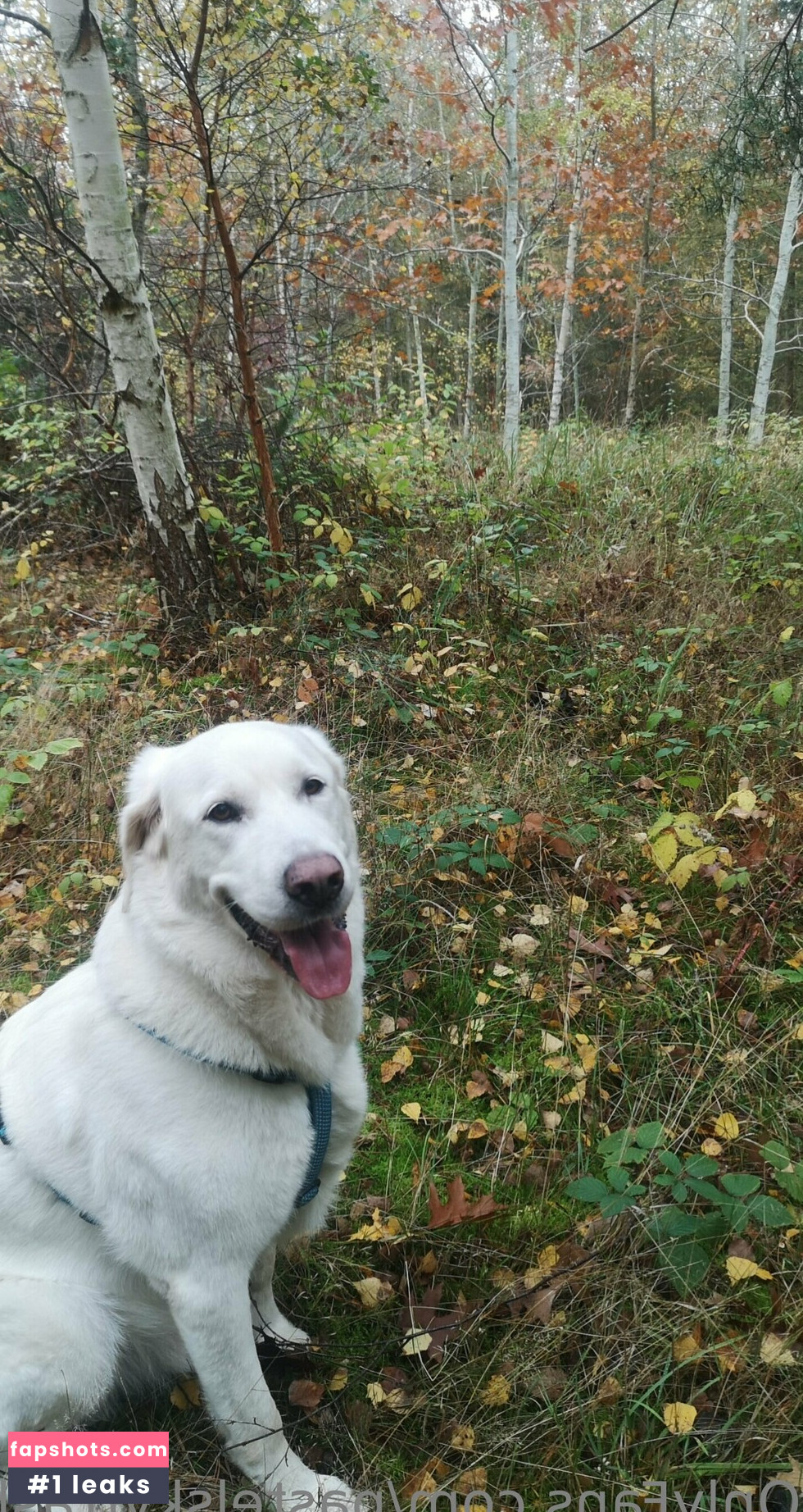 pastelskytrash gallery photo #40