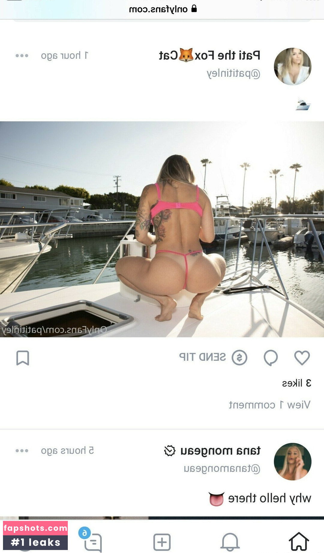 Pati Fontes gallery photo #66