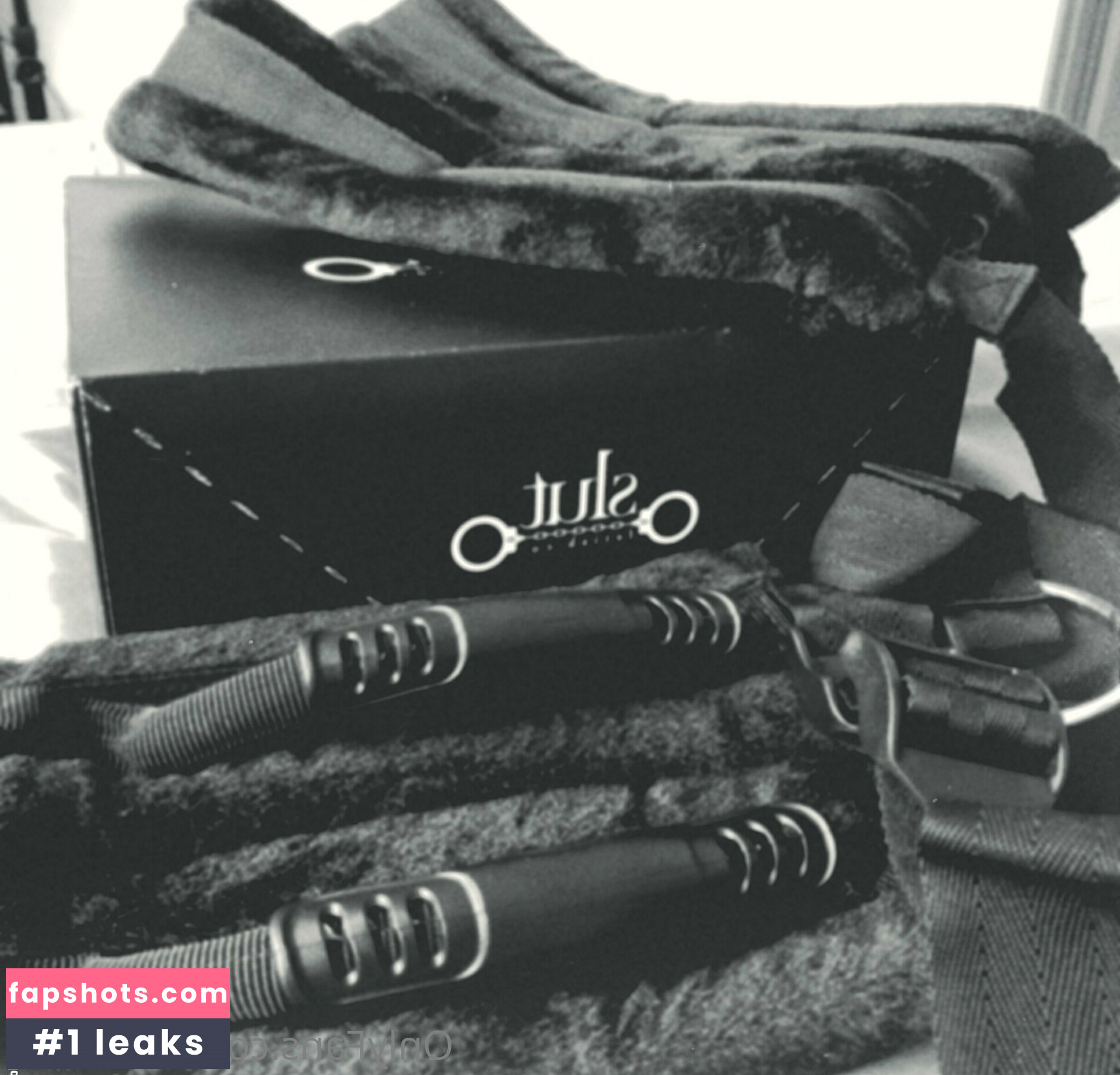 paulnlexi gallery photo #7