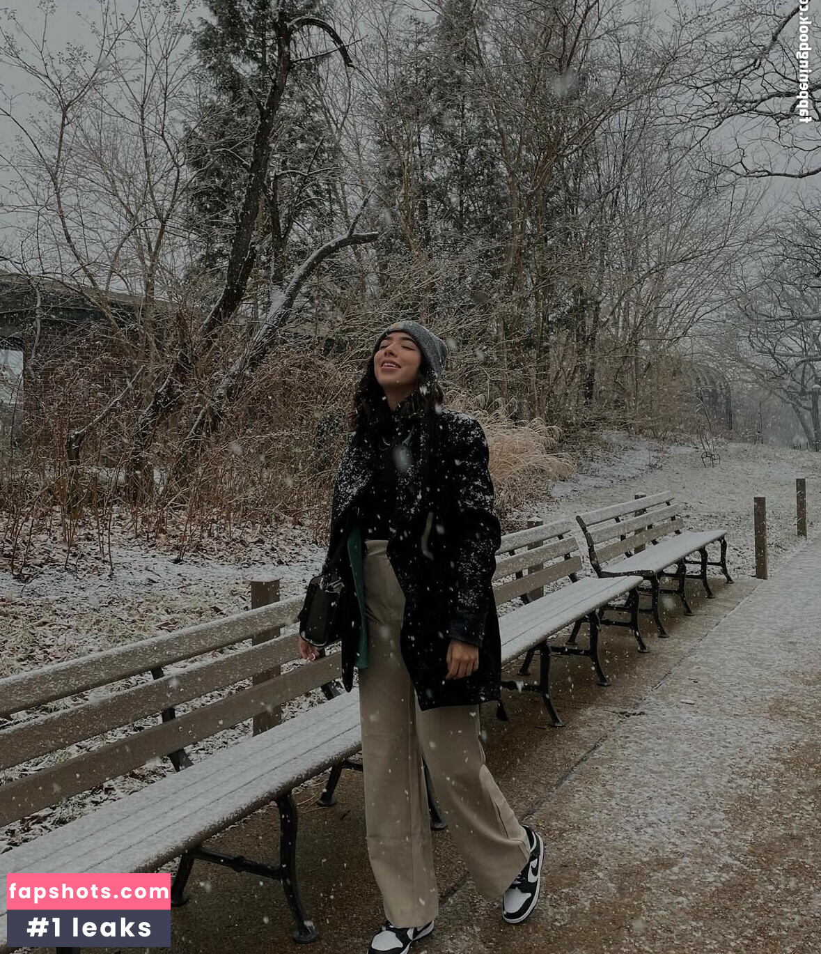 paumove gallery photo #29