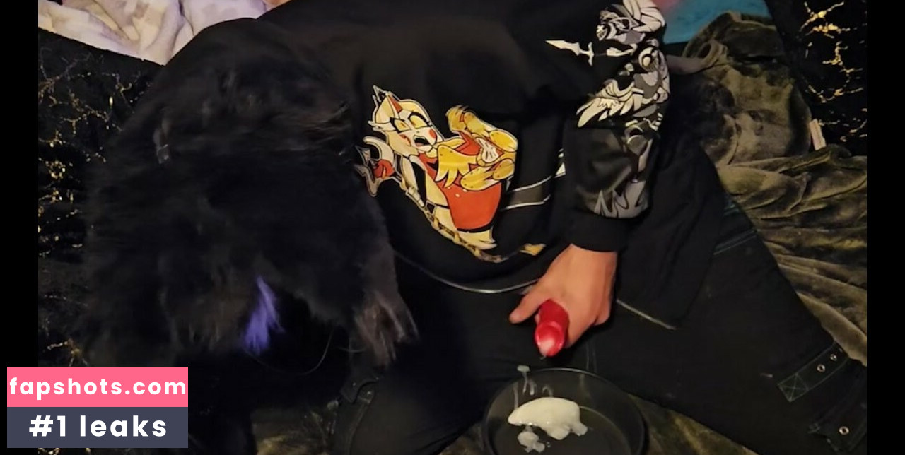 pawsheisty gallery photo #9