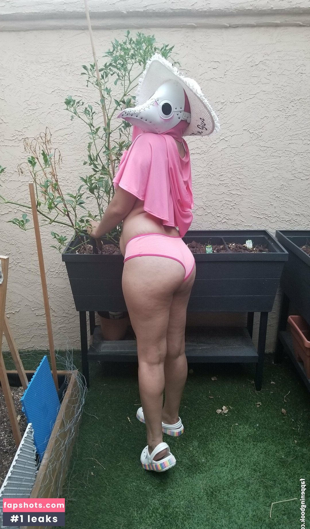 PDoctress gallery photo #21