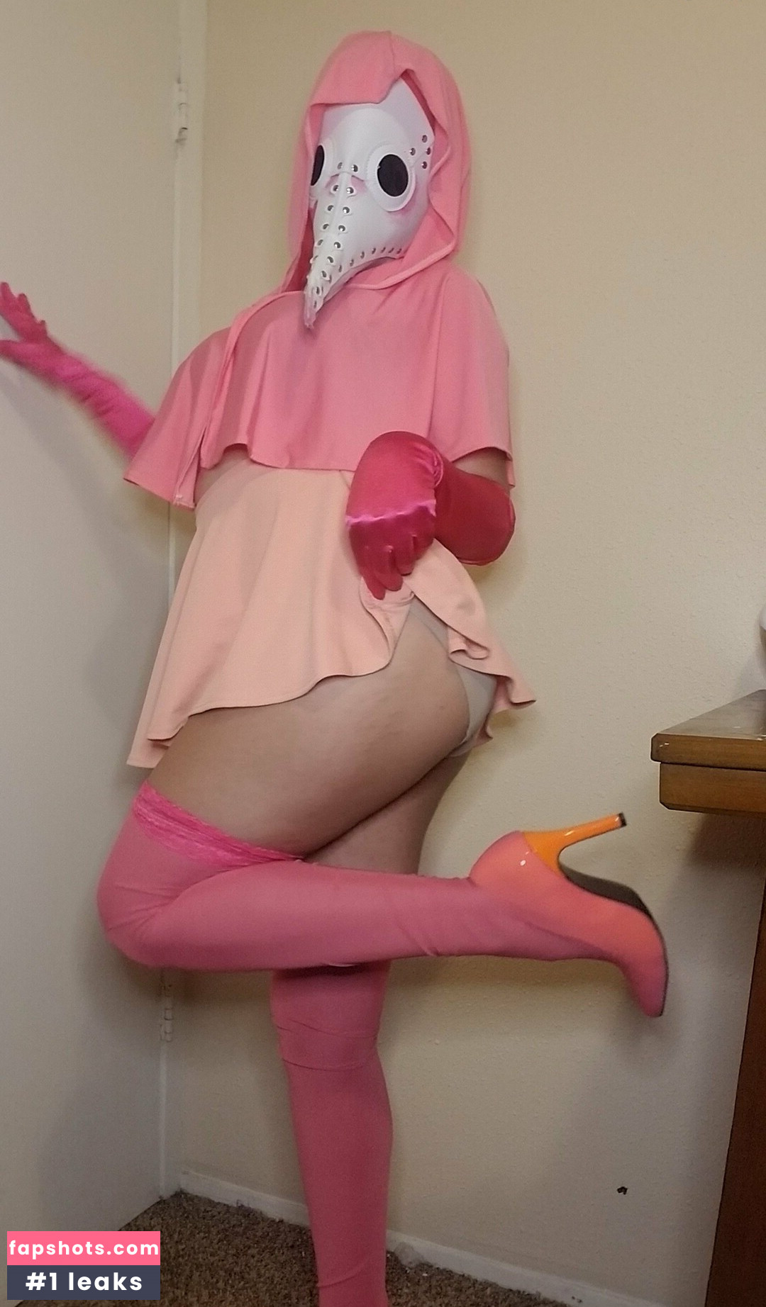 PDoctress gallery photo #22