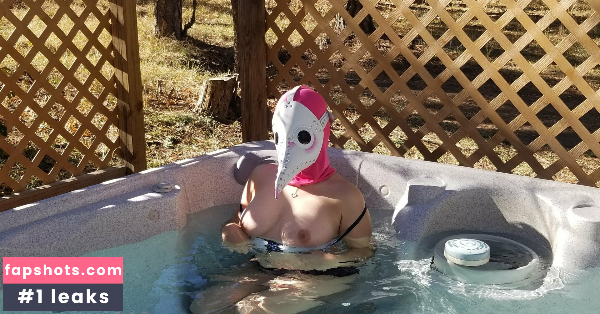 PDoctress gallery photo #7