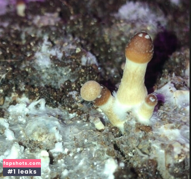 peacheyscreams gallery photo #7