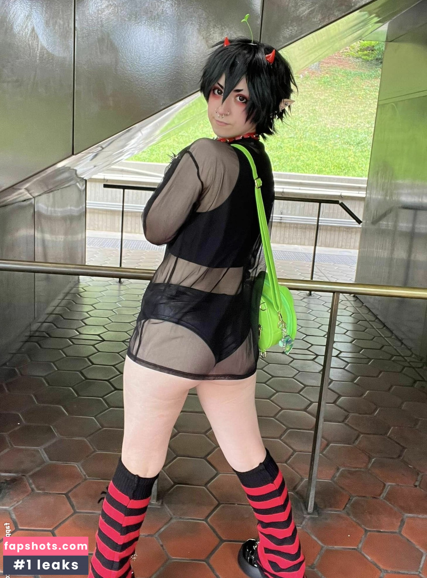 _PeachPawz gallery photo #3