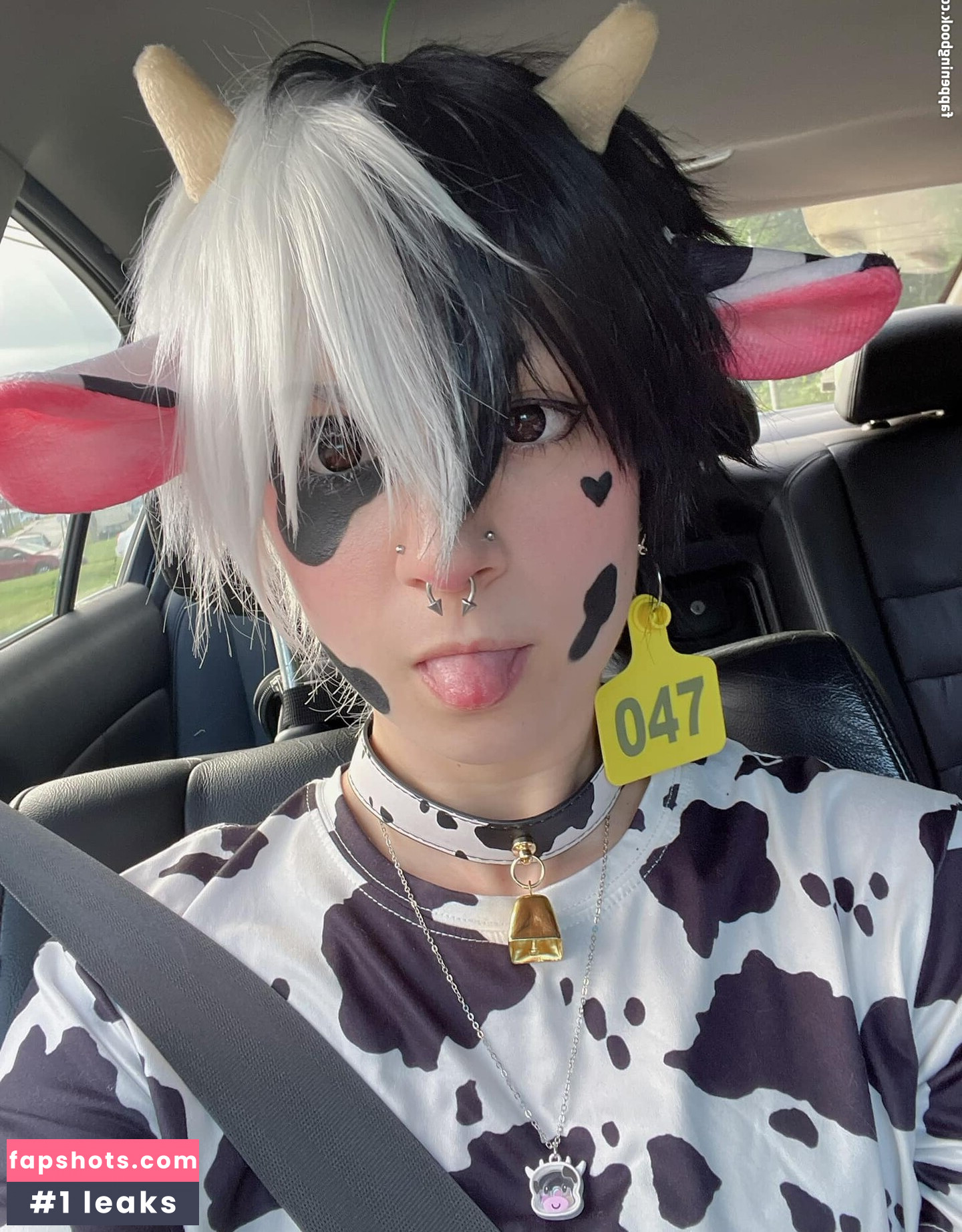 _PeachPawz gallery photo #10