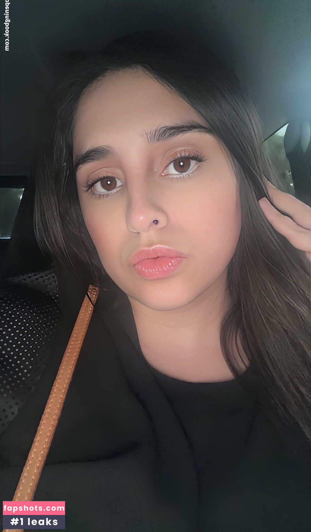 Pepecito101 gallery photo #6