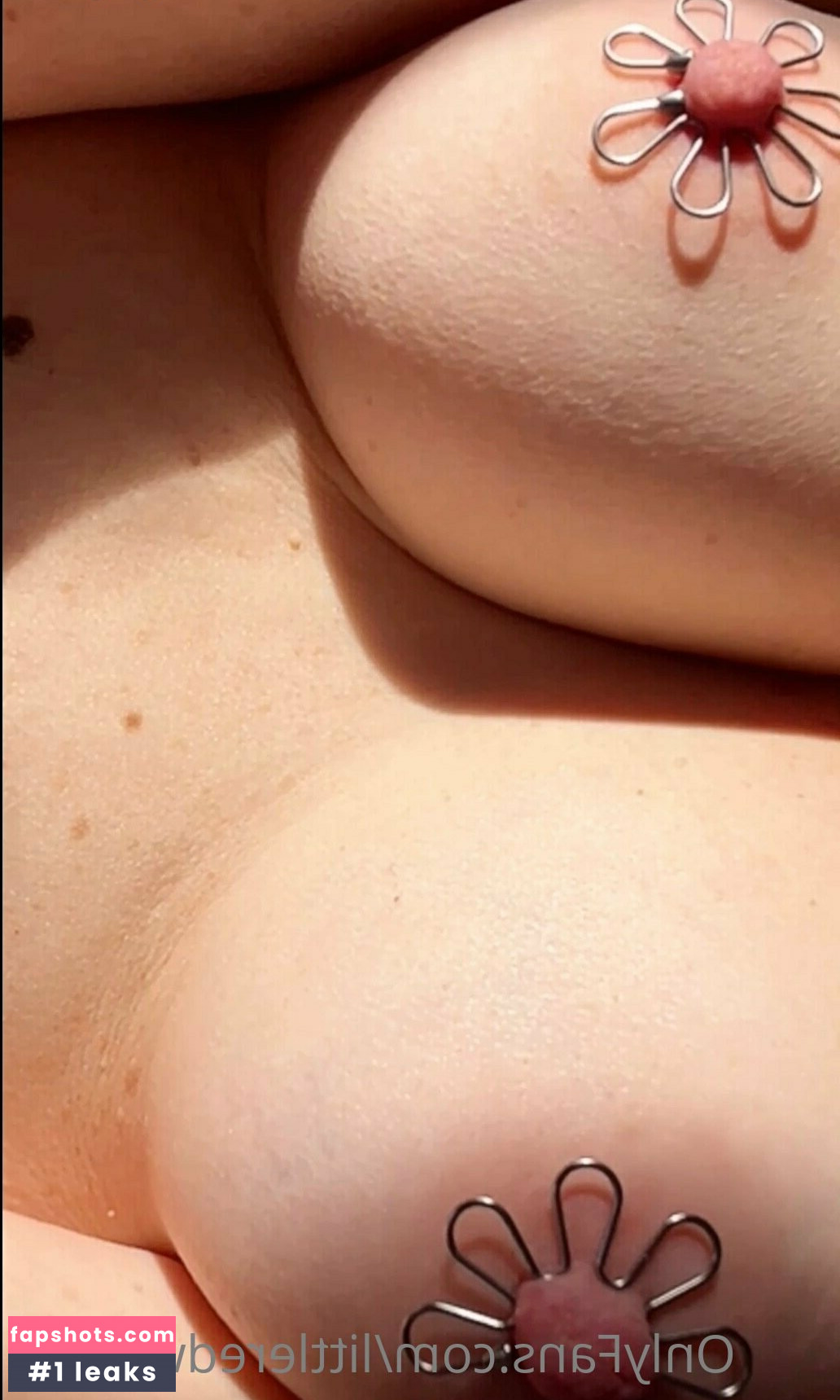 Pepper Rose gallery photo #7