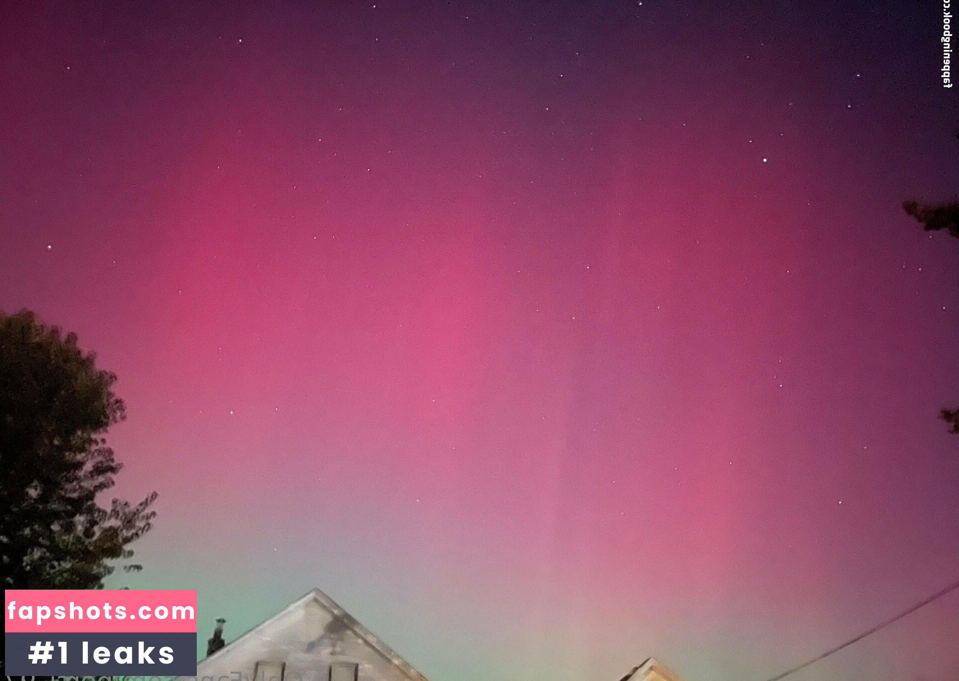 perci_97 gallery photo #11