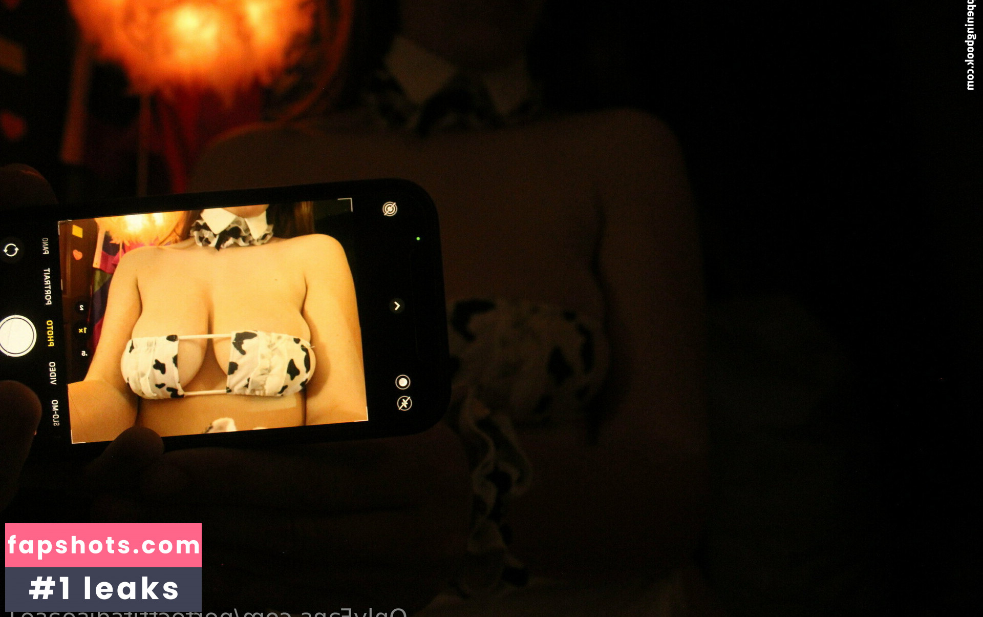 perfecttitsdisease1 Nahé úniky fotek pouze od fanoušků #5 - Fapshots