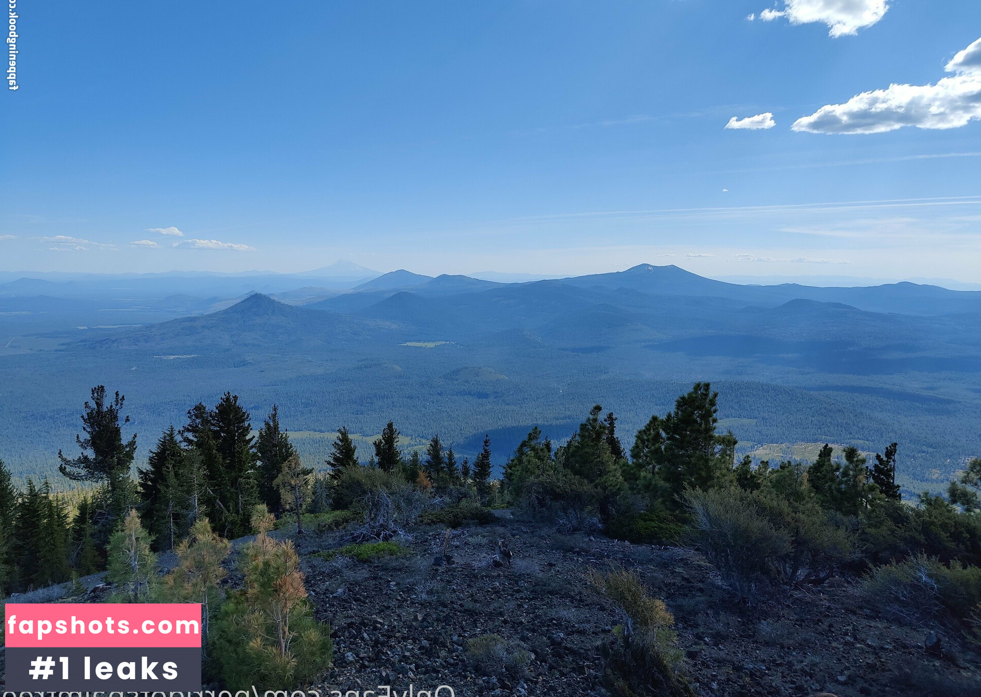 Perridotspalmtree gallery photo #35