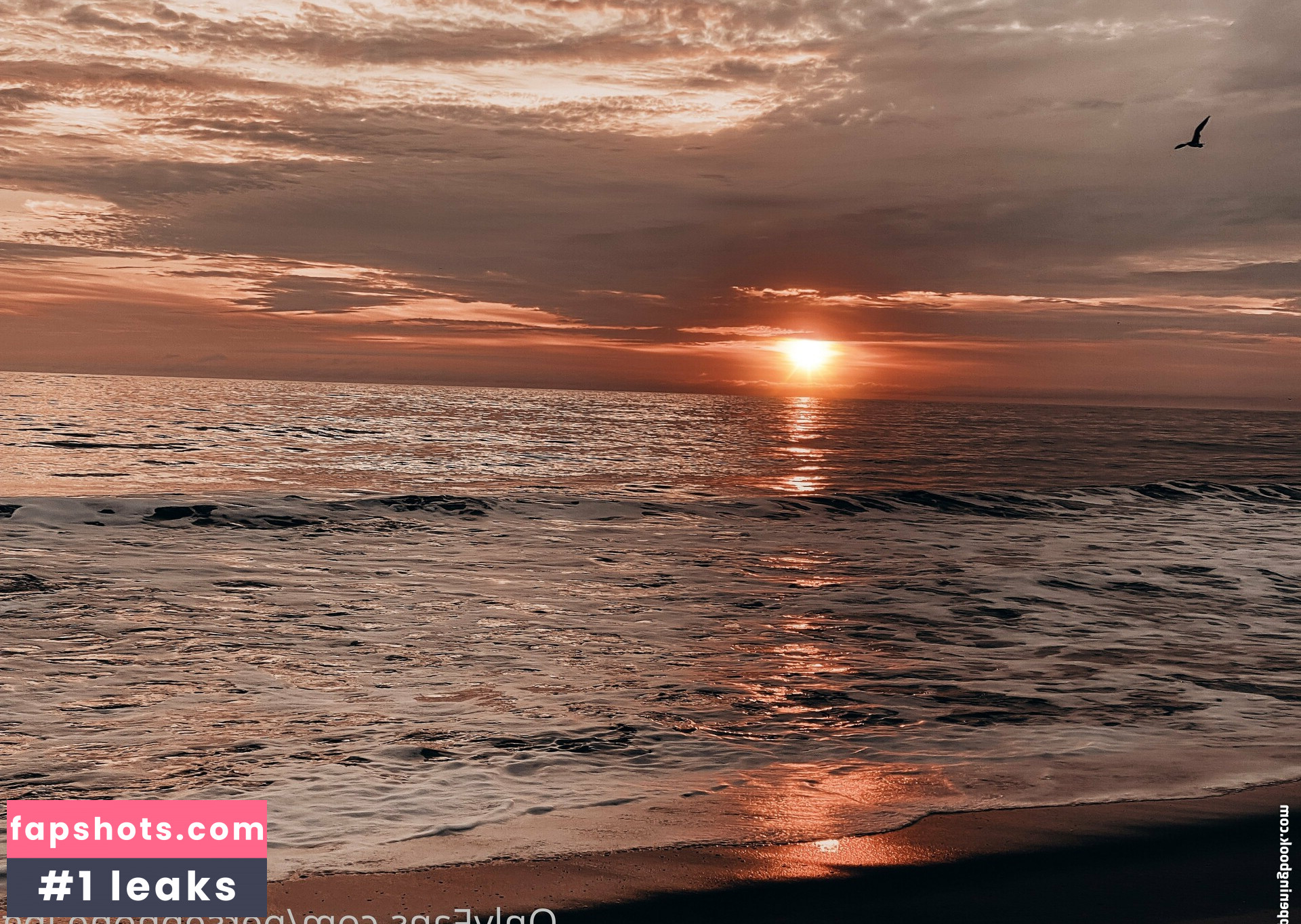 persephone27x gallery photo #25