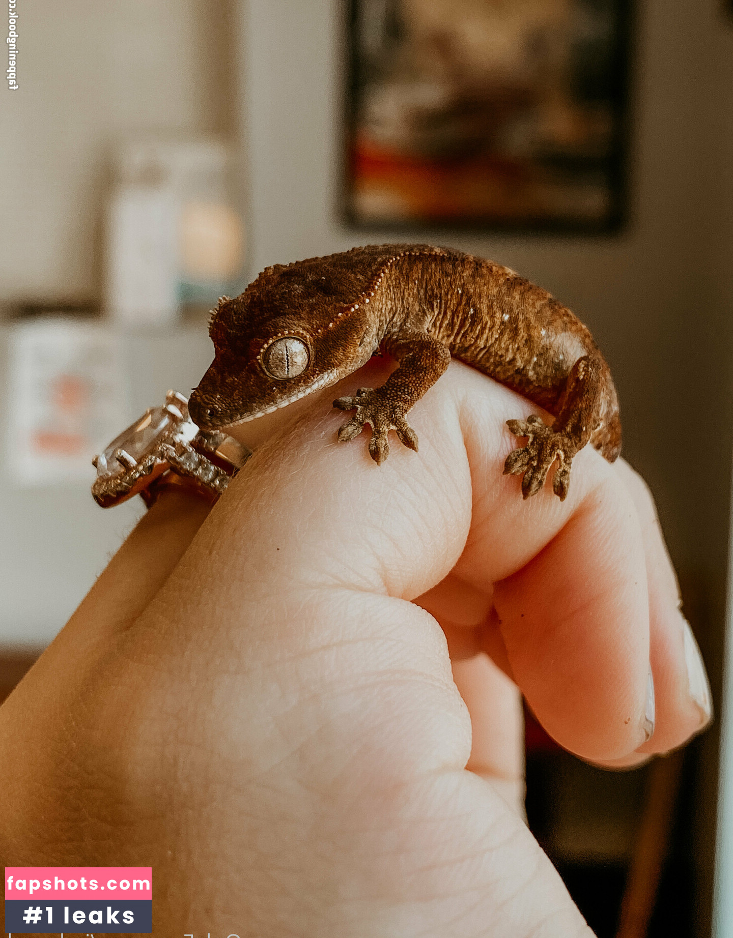 persephone27x gallery photo #26