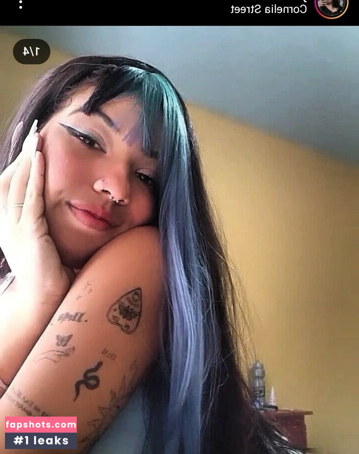 Petrópolis gallery photo #87