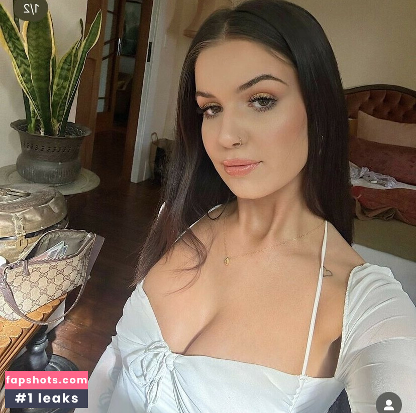 pets.hendrikseigshid