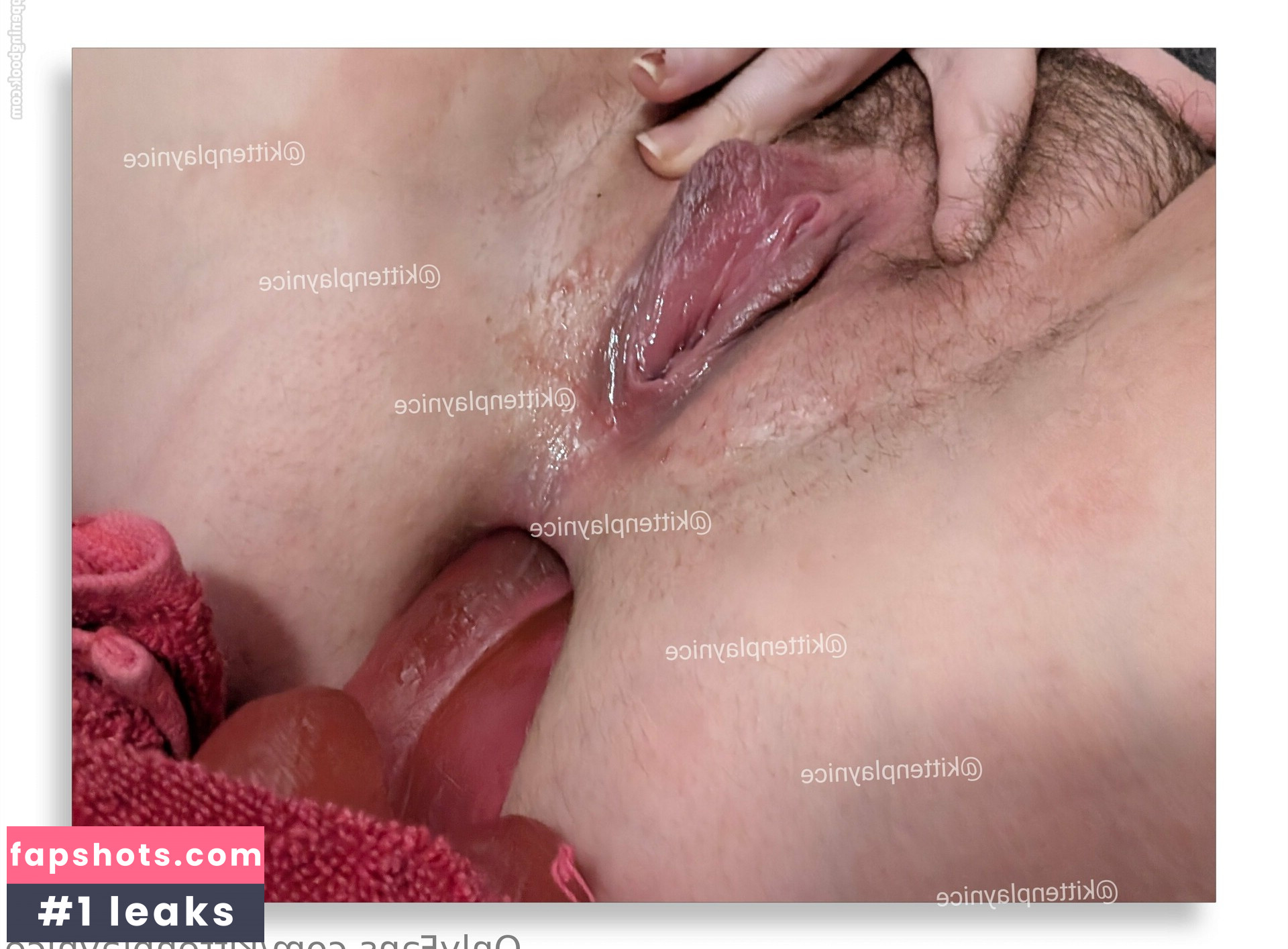 Pettanhon gallery photo #59