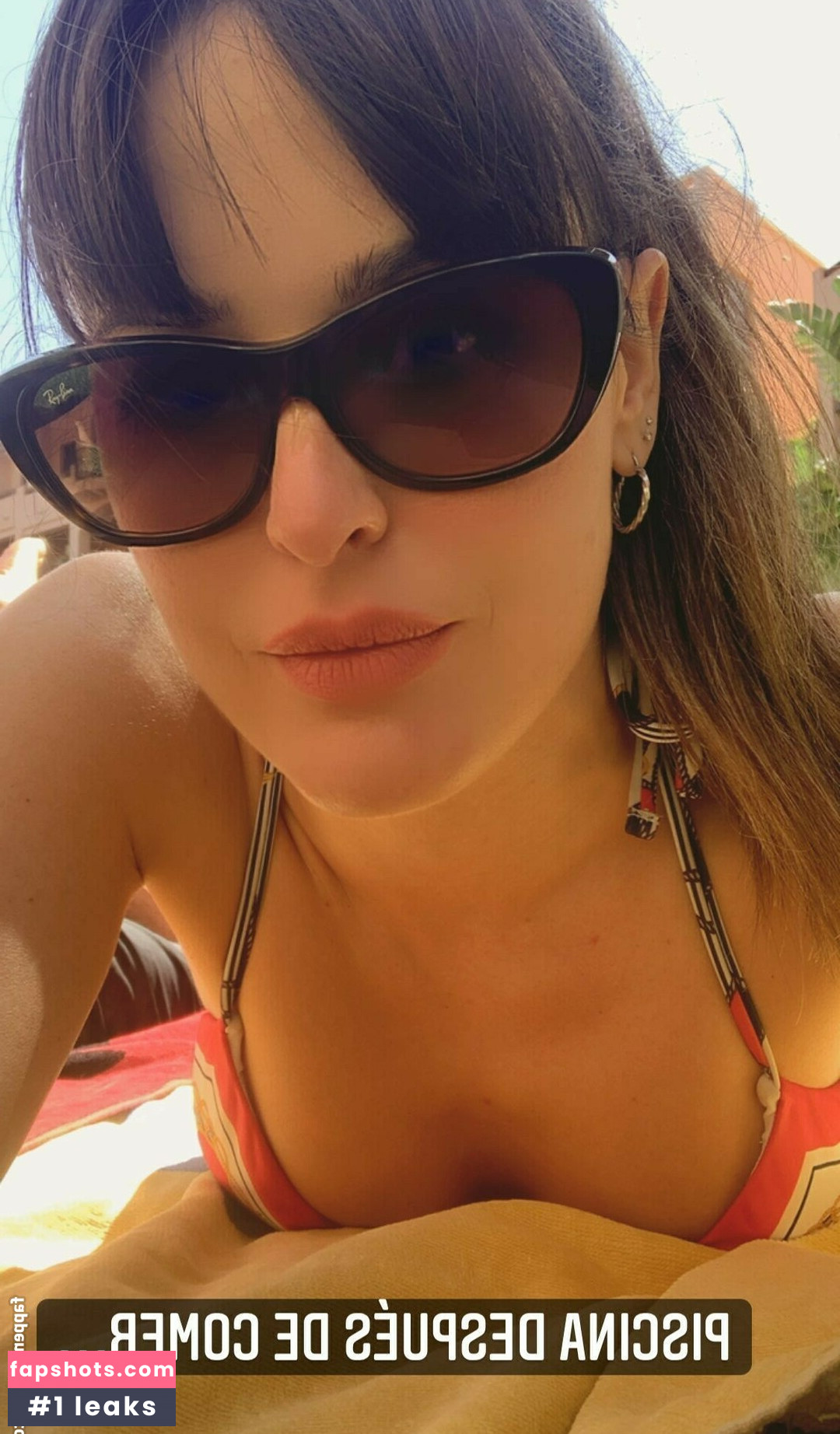 Pettans gallery photo #47