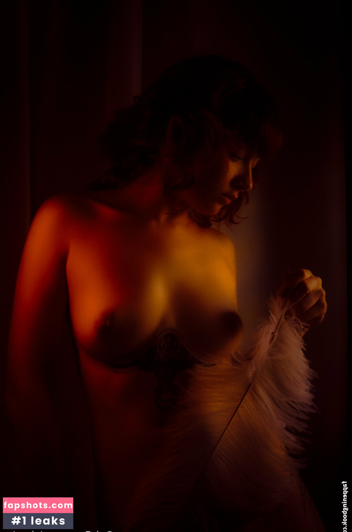 Phaine Gibouyeaux gallery photo #7