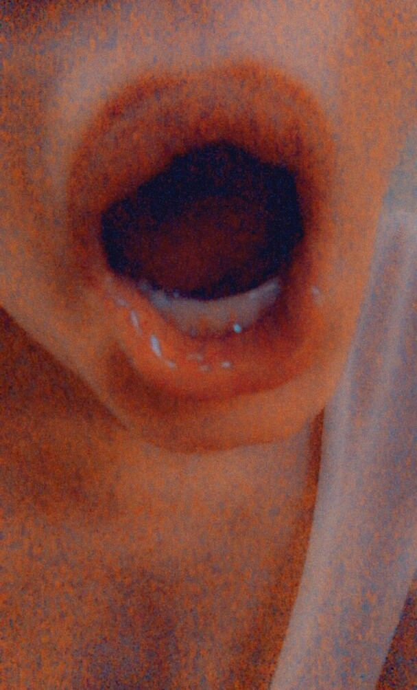 phoebe-price-1 gallery photo #1308