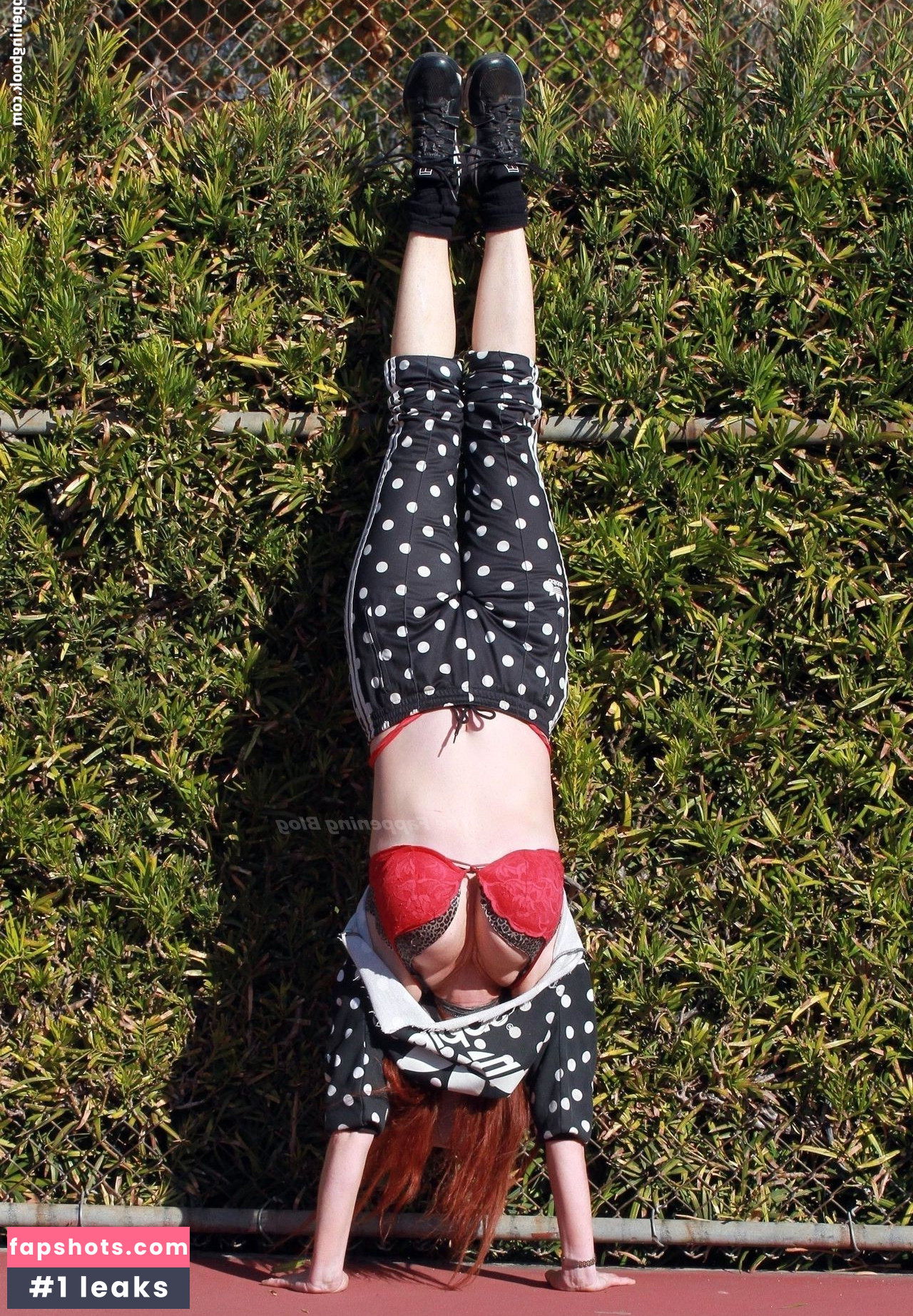 Phoebe Price gallery photo #1149