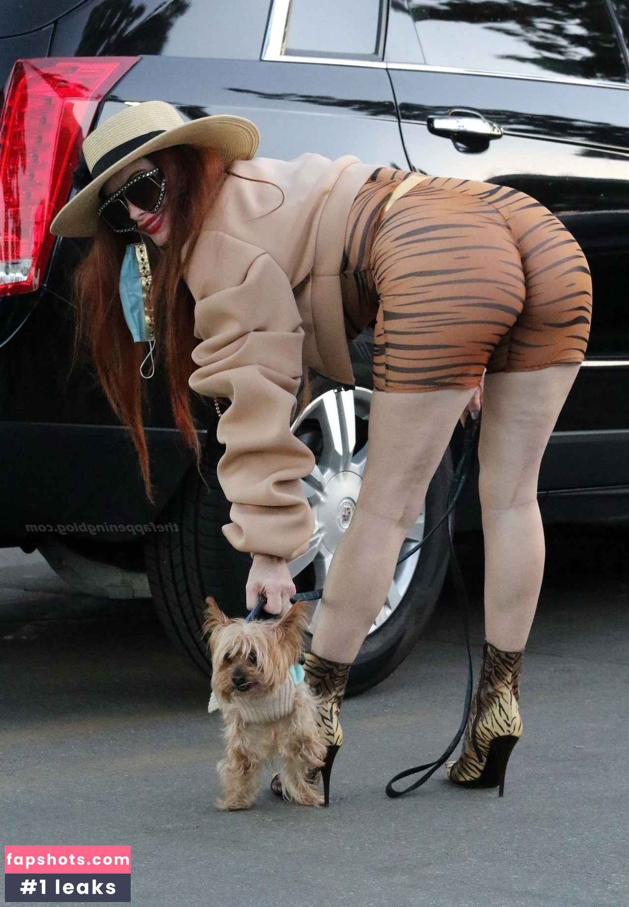 Phoebe Price gallery photo #1281