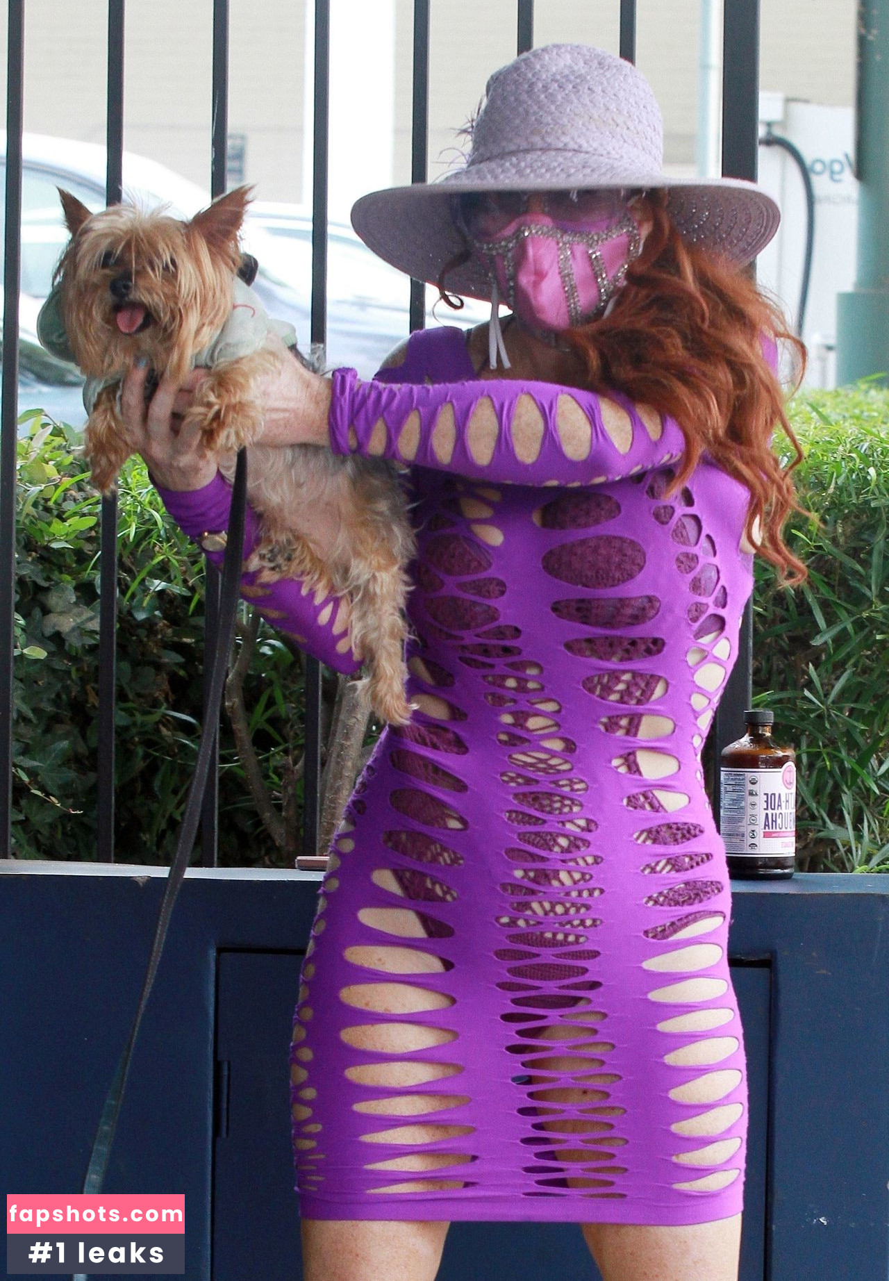 Phoebe Price gallery photo #2368