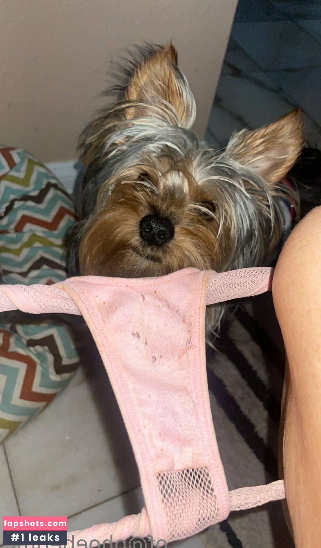 Phoebe Price Nude Leaks OnlyFans Photos #470 - Fapshots