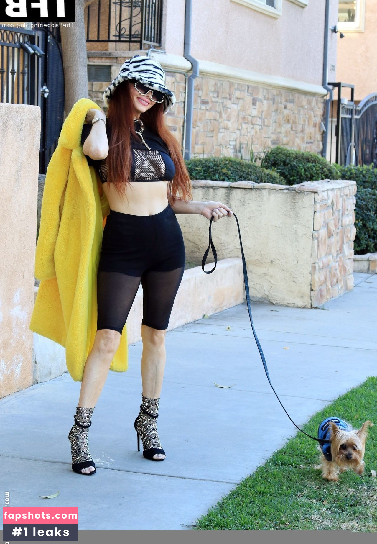 Phoebe Price gallery photo #878