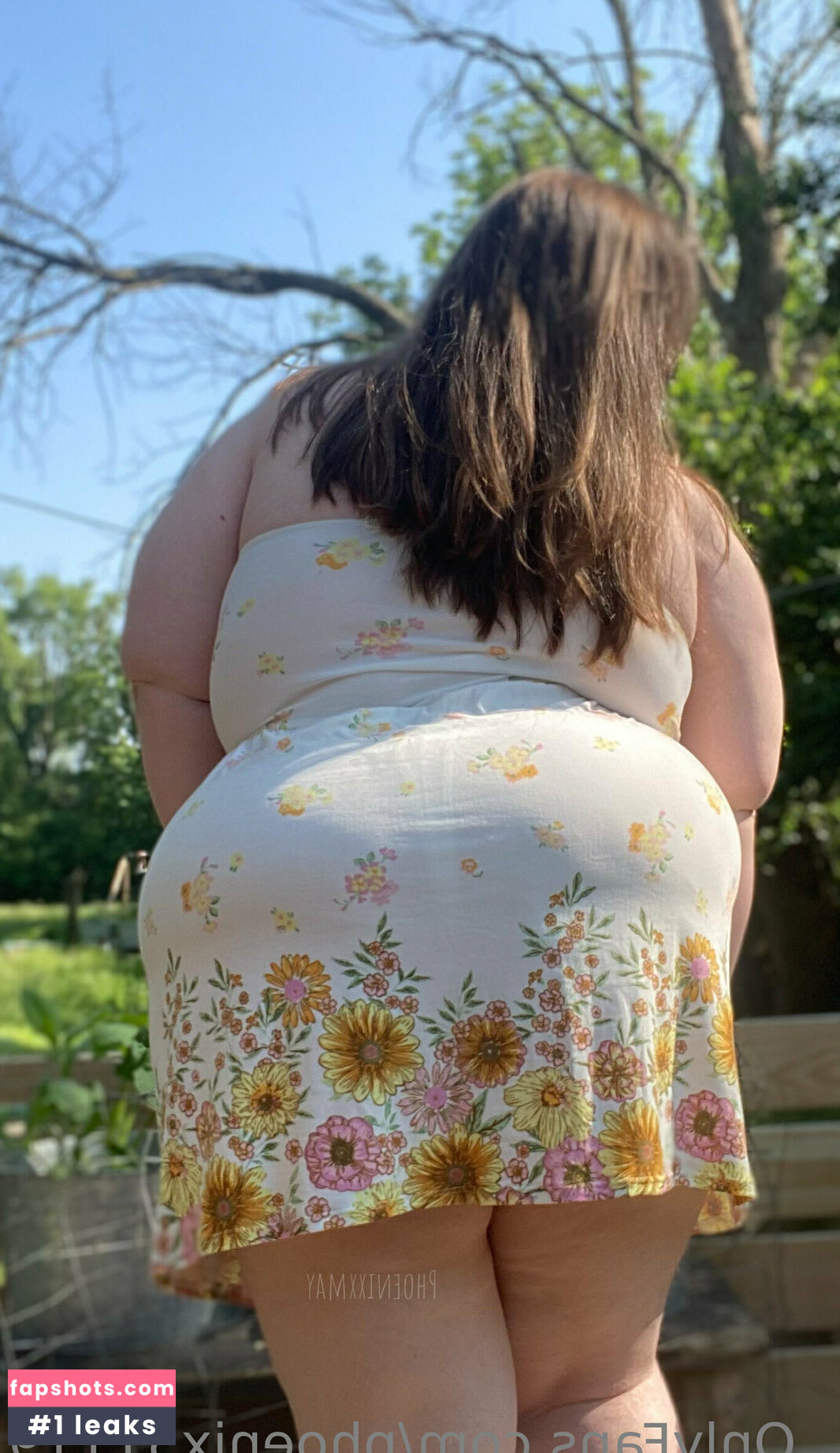 phoenix51119 gallery photo #6