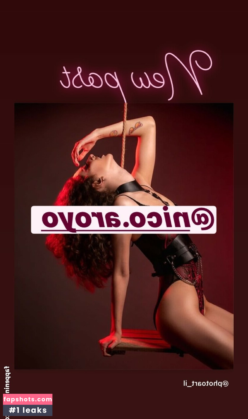 PhotoArt_il gallery photo #15