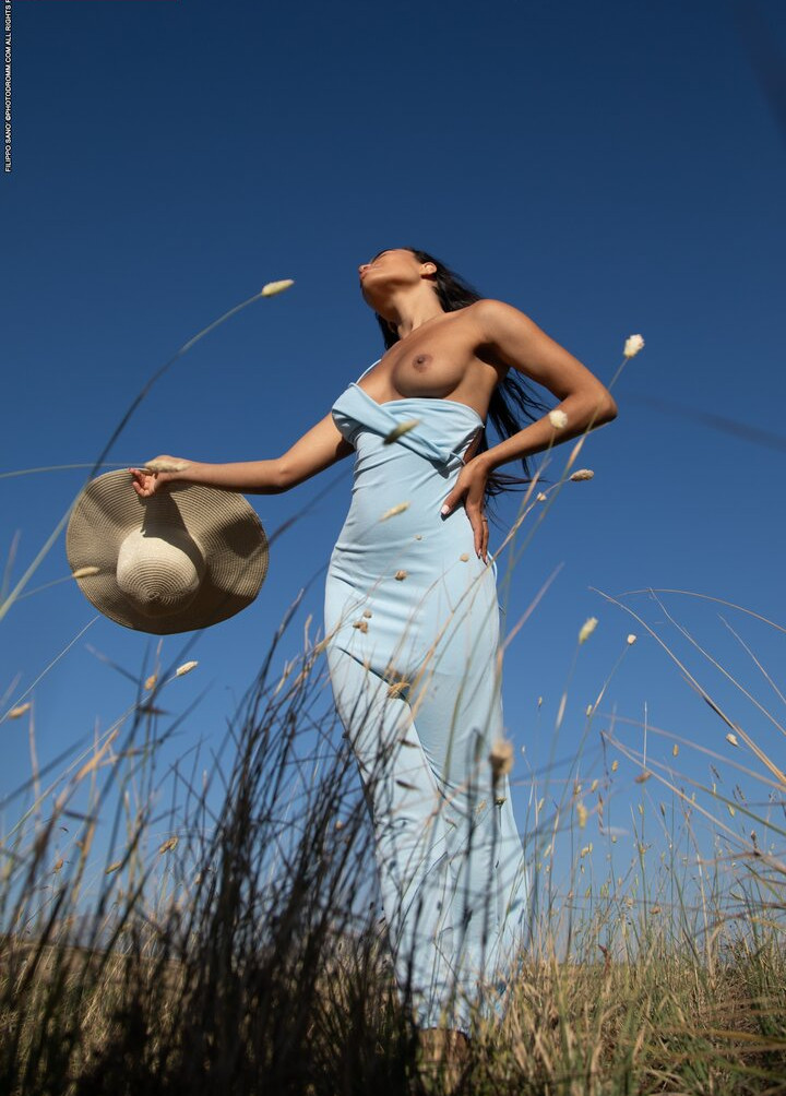 photodromm gallery photo #1613