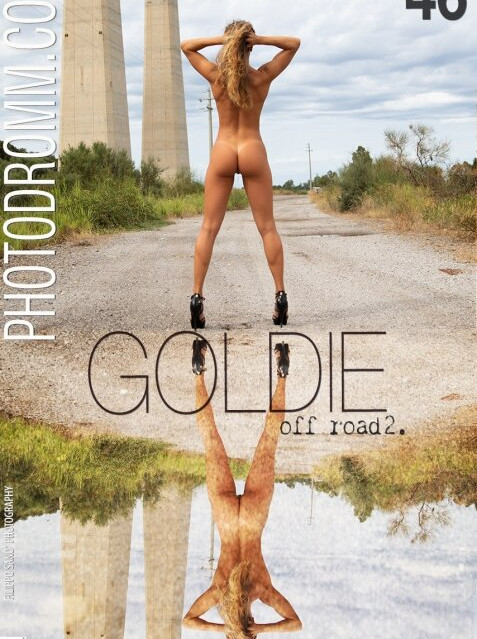 photodromm gallery photo #1698