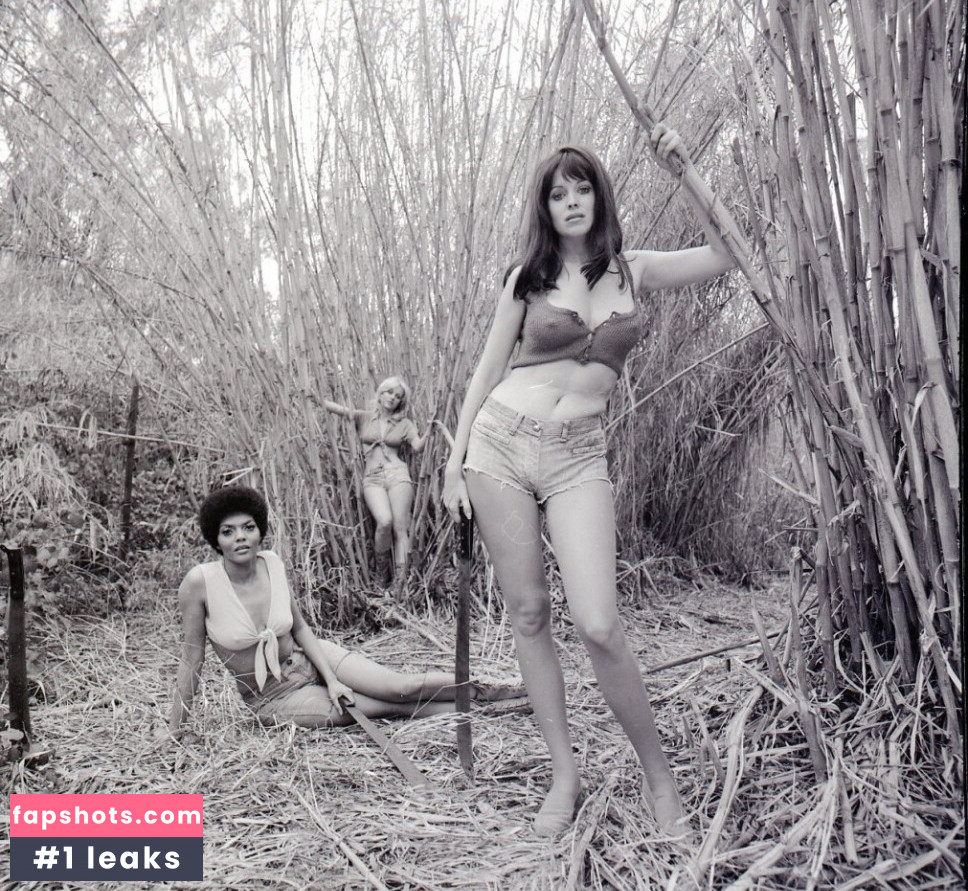 Phyllis Davis gallery photo #3