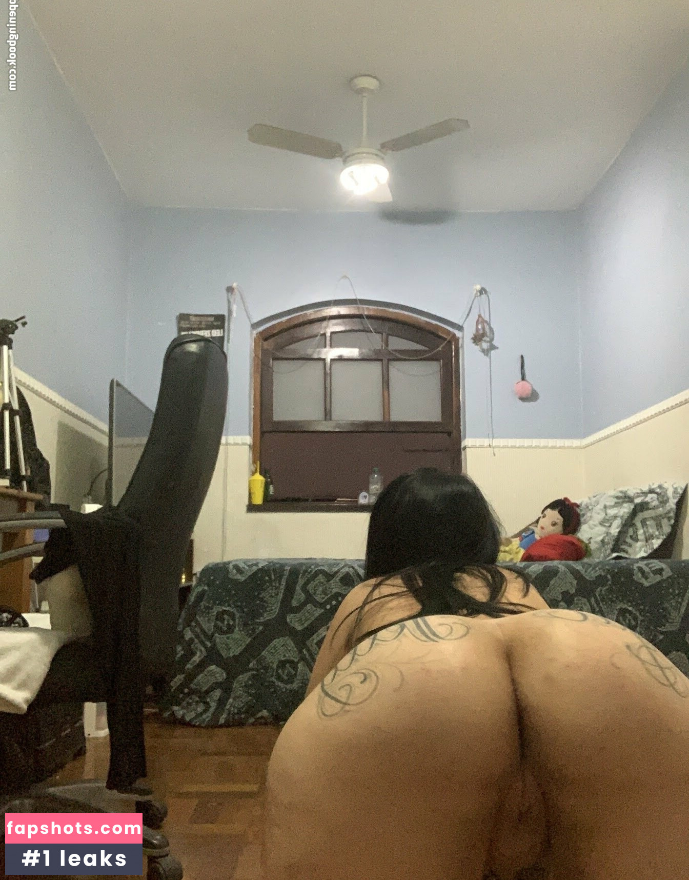 pimenta gallery photo #5