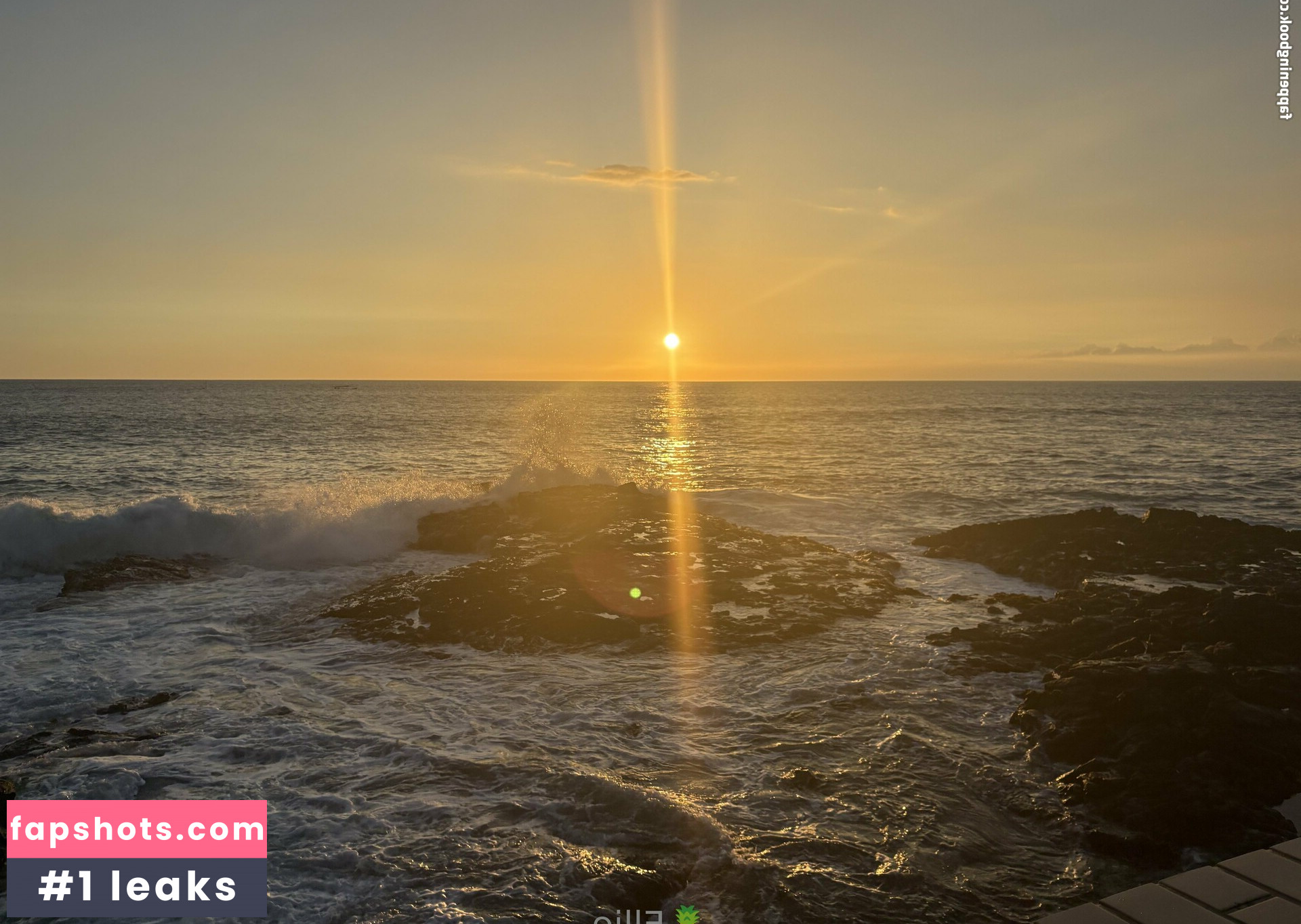 pineapple_ellie_free gallery photo #18