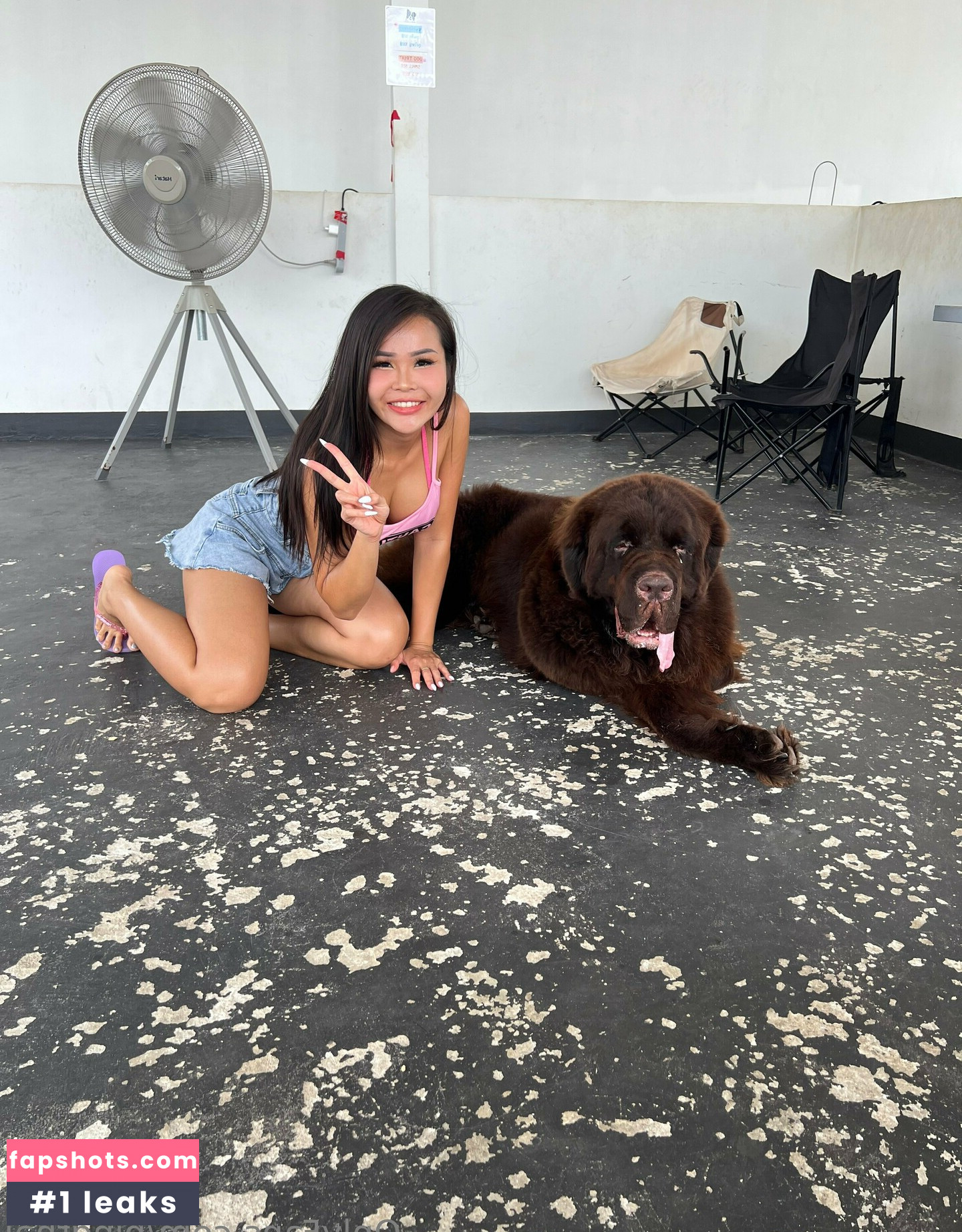 pingthai gallery photo #40