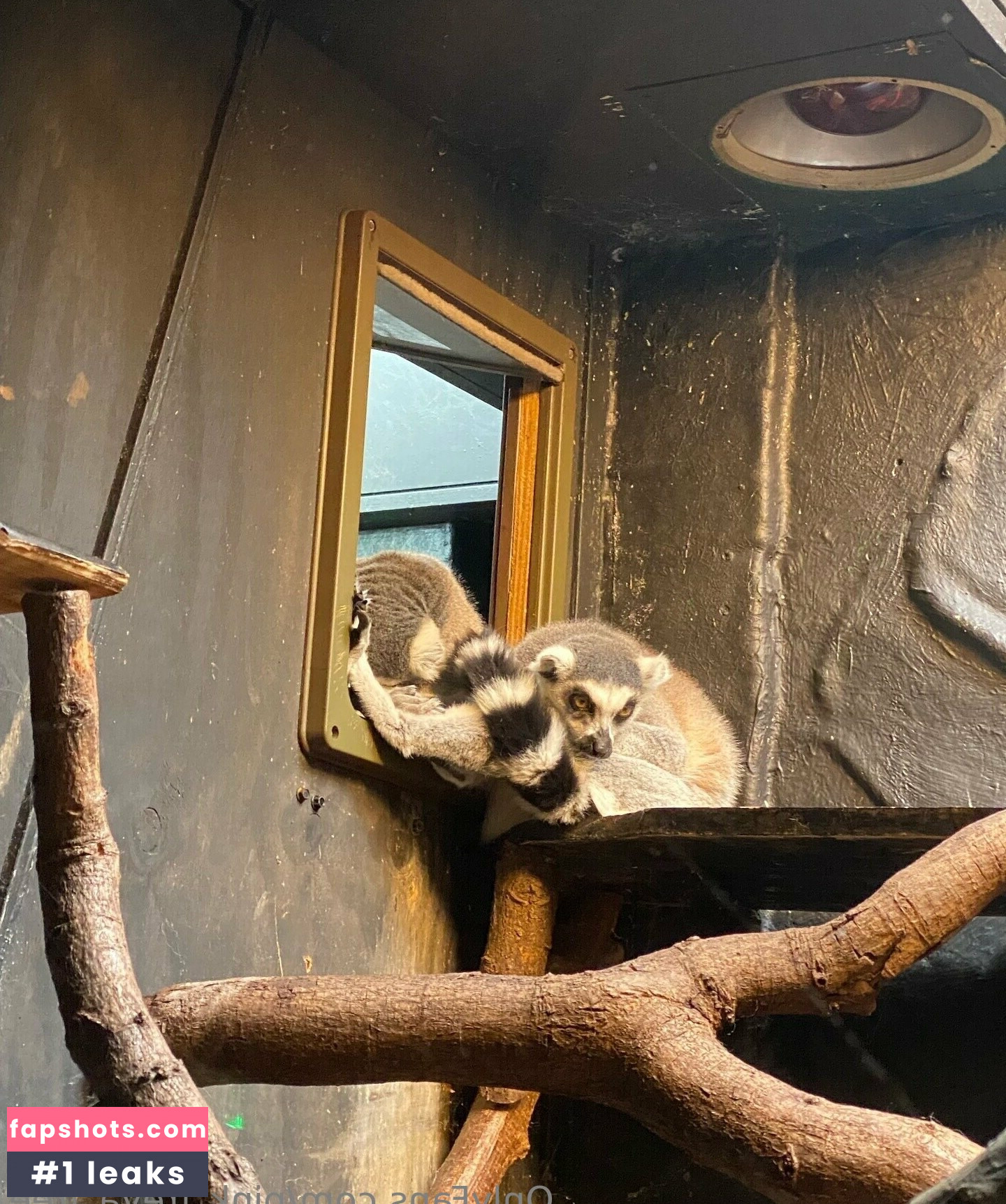 pink_freya_free gallery photo #11