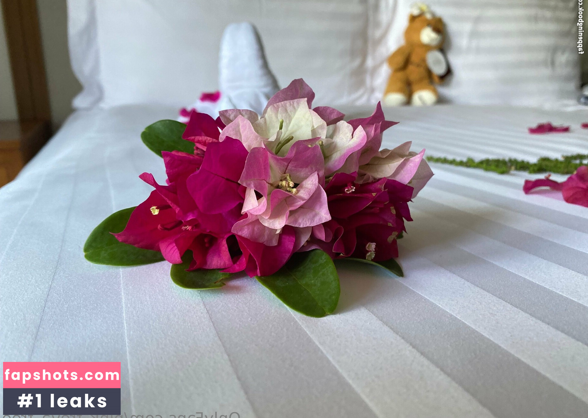 pink_freya_free gallery photo #17