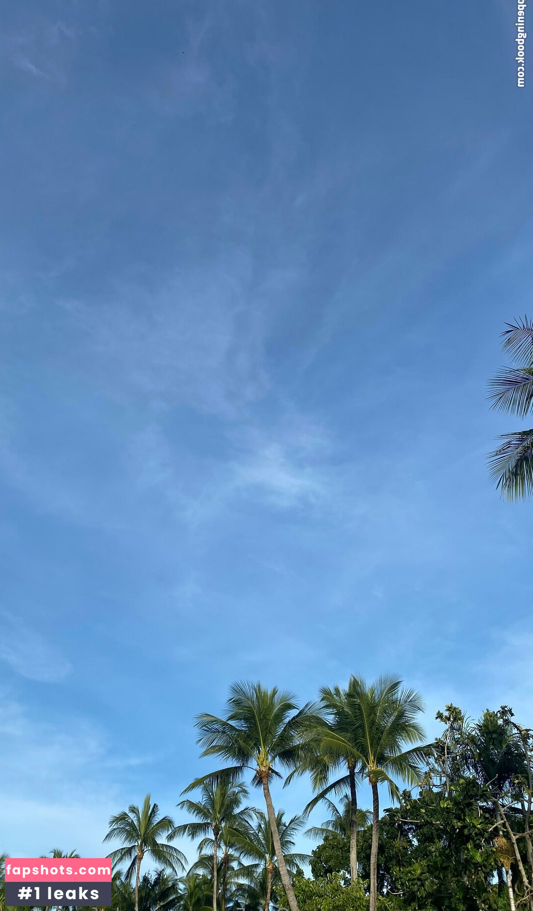 pink_freya_free gallery photo #5