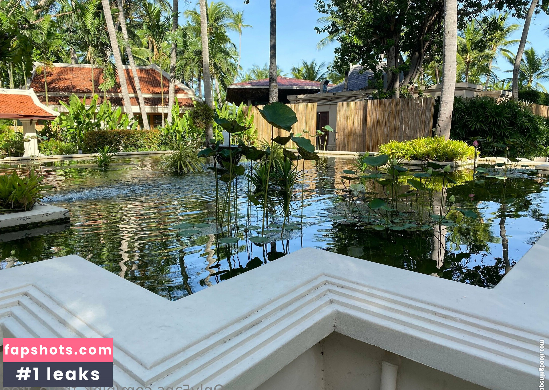 pink_freya_free gallery photo #10