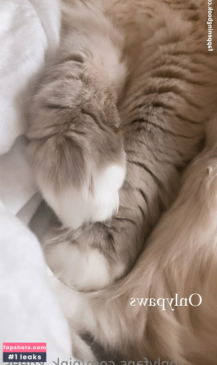 pink_knees gallery photo #9