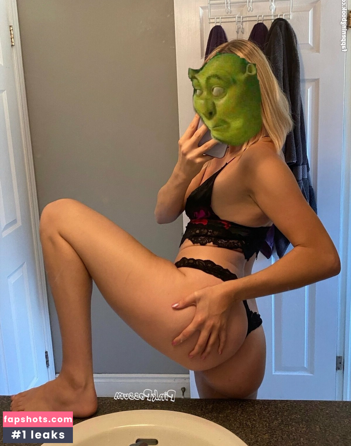 pinkpossum Nacktheit OnlyFans Fotos #28 - Fapshots