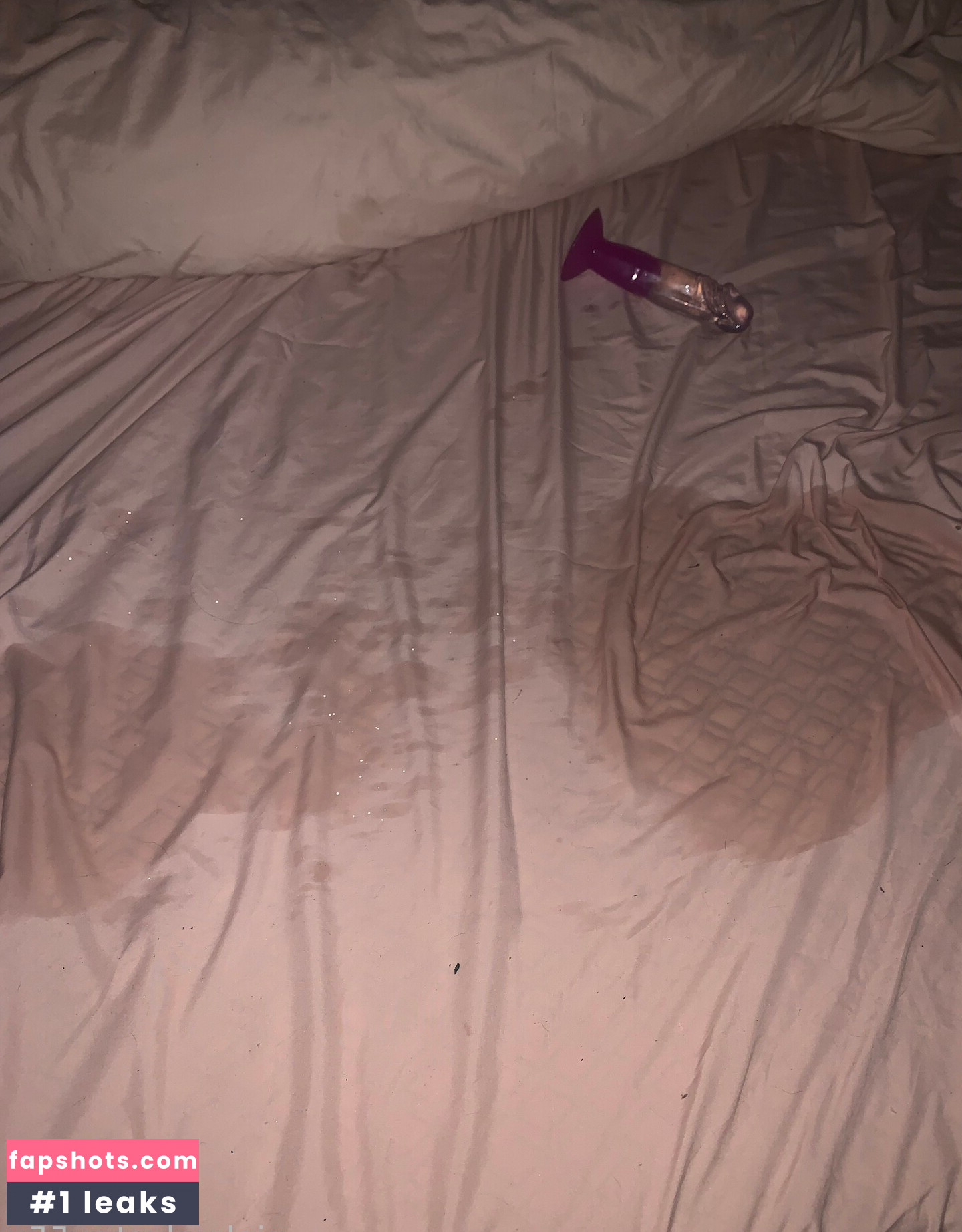 pinkvelvetpu55y gallery photo #3