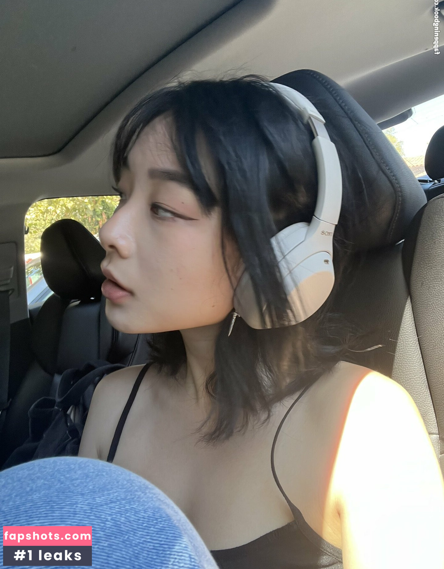 pipluptiny gallery photo #26