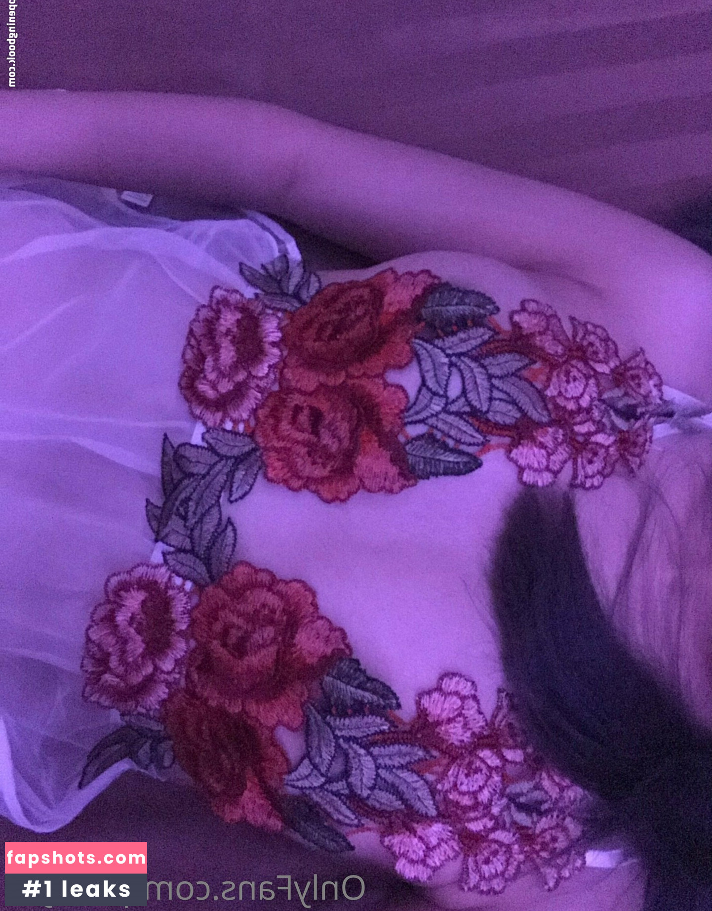 Pitchytd gallery photo #21