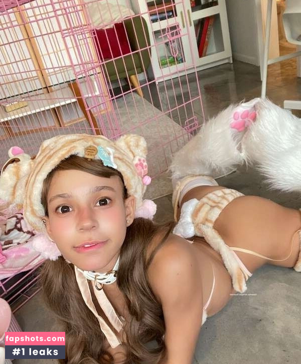 plainfac gallery photo #15