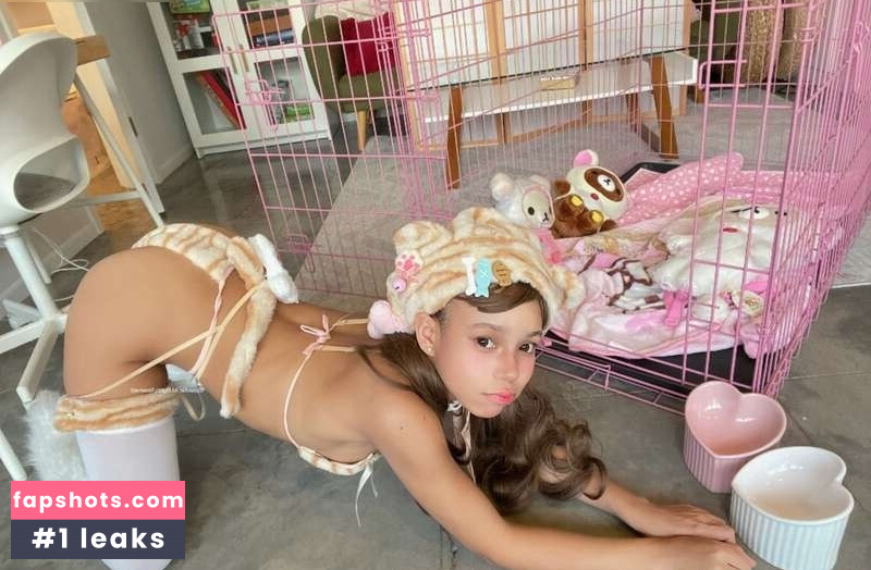 plainfac gallery photo #18