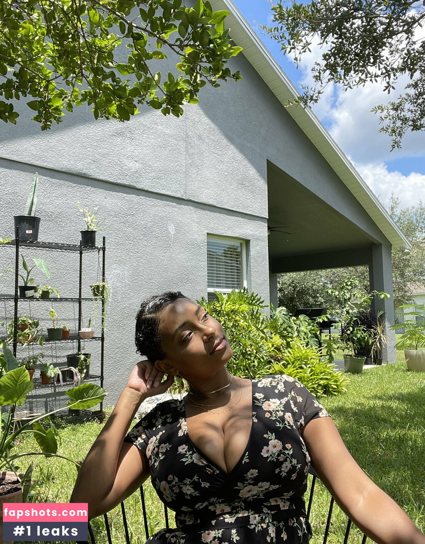 planterriah gallery photo #24